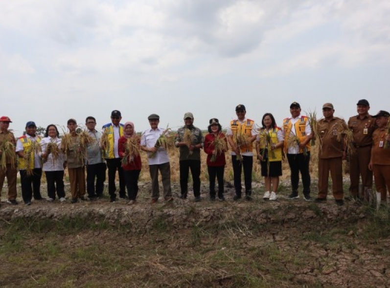 Kementerian PUPR Dukung Pengembangan Food Estate Menjadi Lumbung Pangan di Kalteng