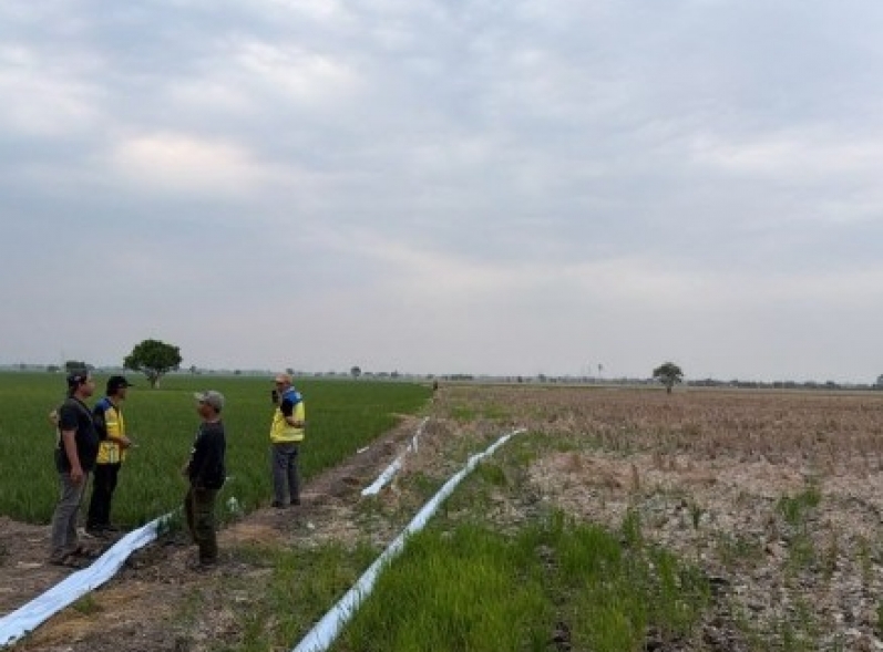 Pesawahan di Kabupaten Bekasi Alami Kekeringan, Kementerian PU Operasikan Tiga Unit Pompa Bantu Atasi Pasokan Air