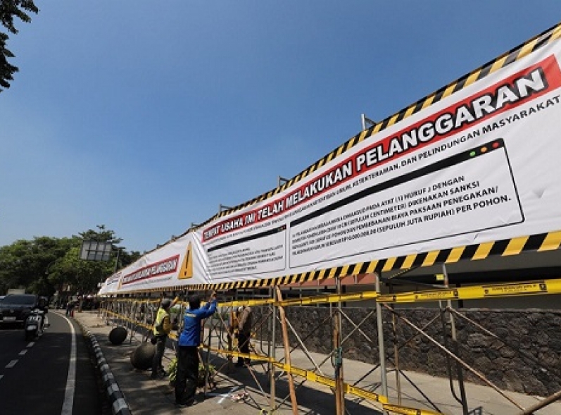 Kasus Penebangan 10 Pohon Tanpa Izin di Jalan Riau, Pemkot Bandung Siapkan Penanaman Pohon Pengganti