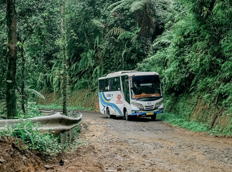 DAMRI Tak Kebagian PMN, PUKIS Kritik Lemahnya Komitmen Negara